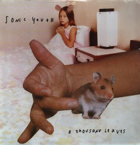 Sonic youth thousand leaves - sonic,