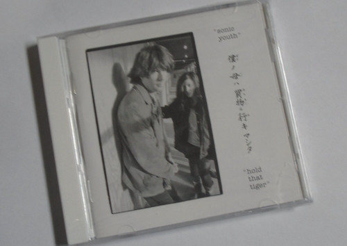 Sonic youth hold that - youth, cd