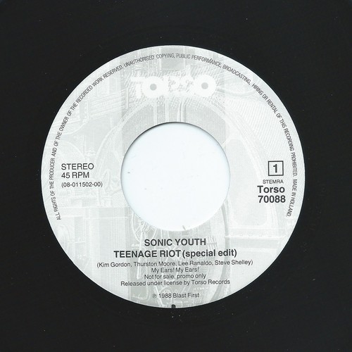 Sonic youth teenage riot - youth,