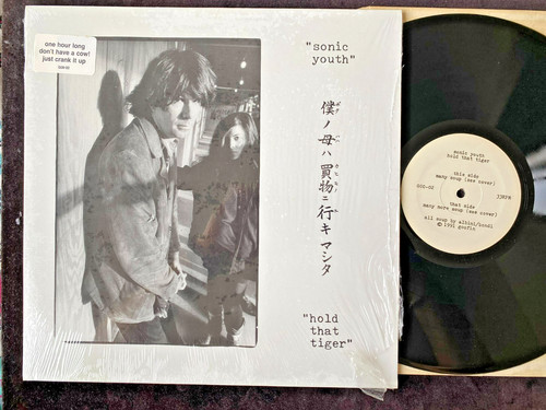 Sonic youth hold that - youth,