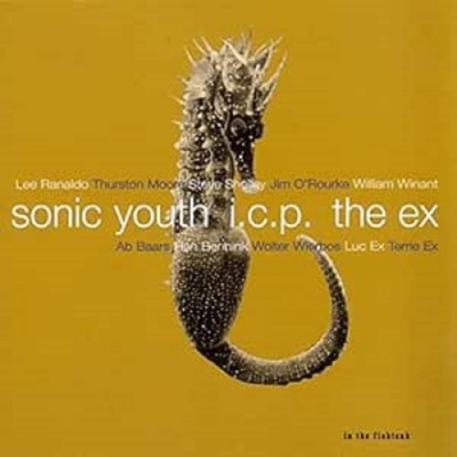 The fishtank sonic youth - in,
