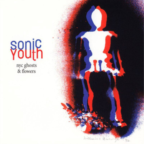 Sonic youth nyc - sonic,
