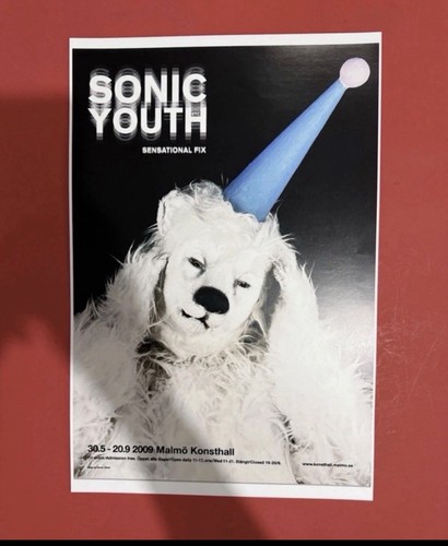 Poster sonic youth - poster,
